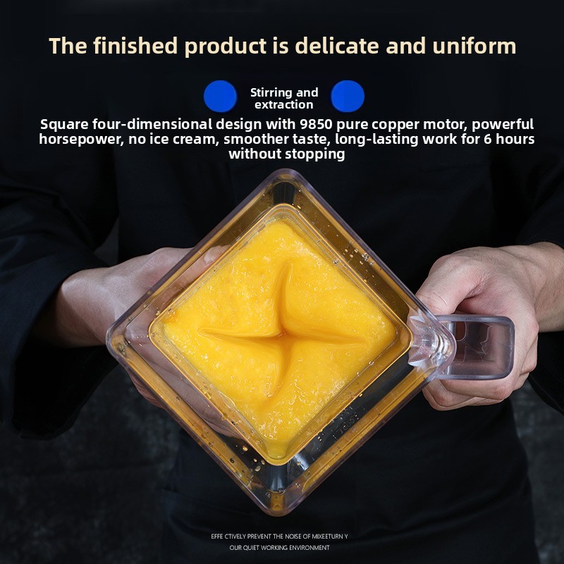 Macchina Professionale per Slu - Commercial Blender Heavy Duty recensione e prezzo