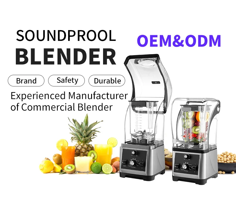 Frullatore Professionale ad Al - Commercial Blender Heavy Duty recensione e prezzo